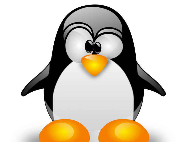 Brindamos soporte a sus plataformas que esten en sistema operativo Linux.